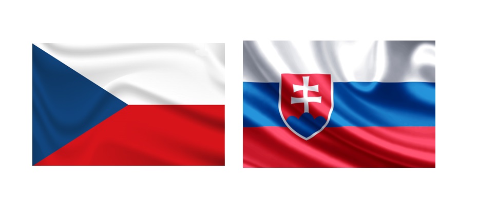 E-commerce w Czechach i Słowacji